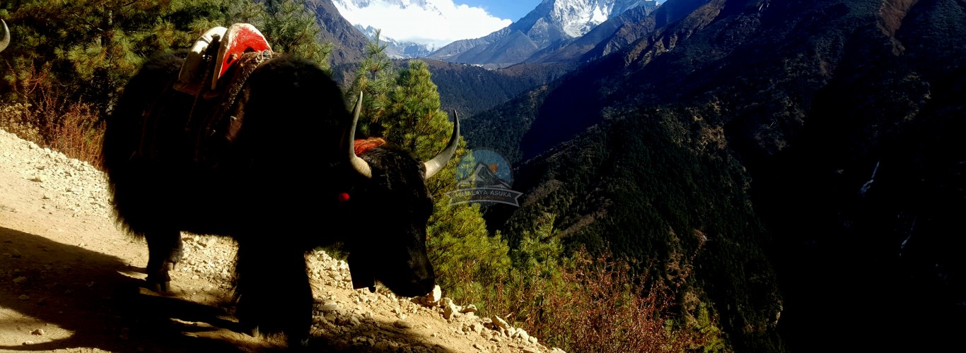 Rolwaling - Everest Trekking